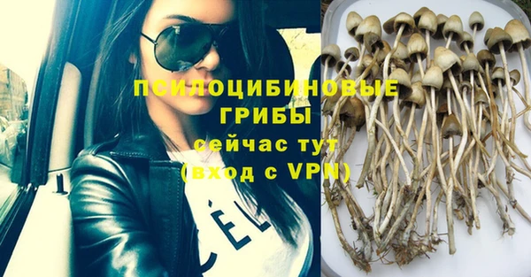 mix Богданович