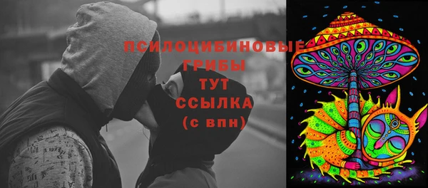 сатива Белокуриха