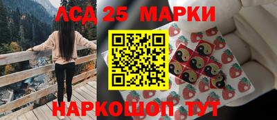 крисы Малгобек