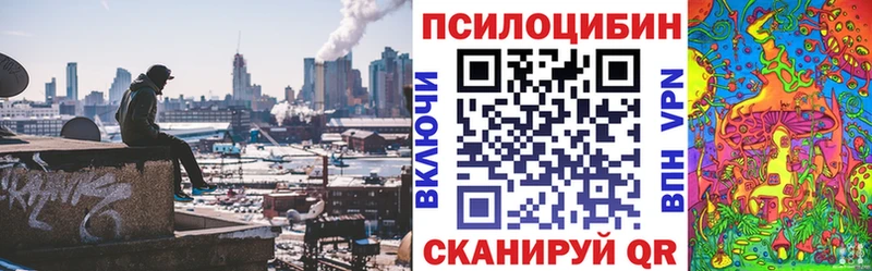 Псилоцибиновые грибы ЛСД где продают наркотики Губкинский