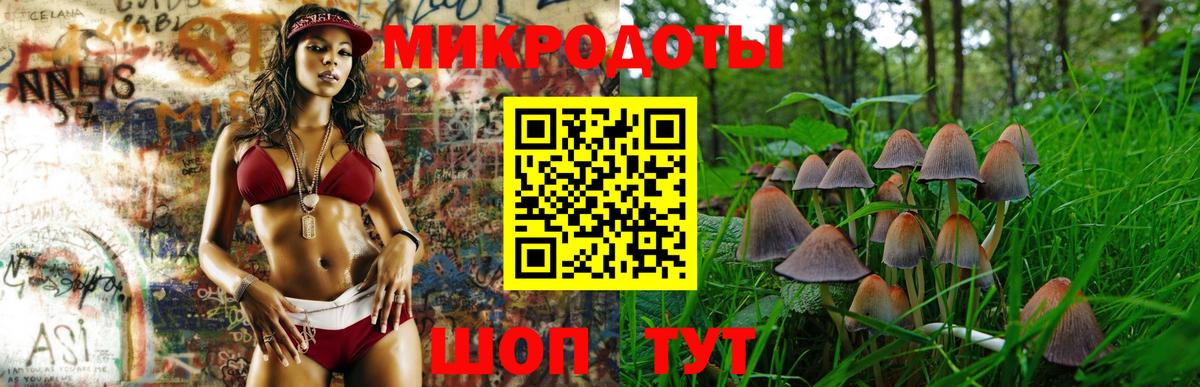 Галлюциногенные грибы мицелий Губкинский